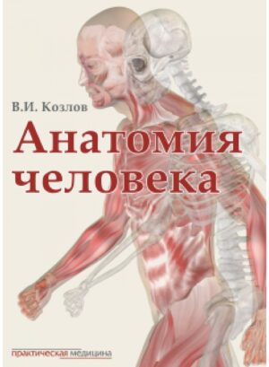 Анатомия человека. 2-е издание, исправленное и дополненное. ГРИФ Координационного совета Сеченовского университета