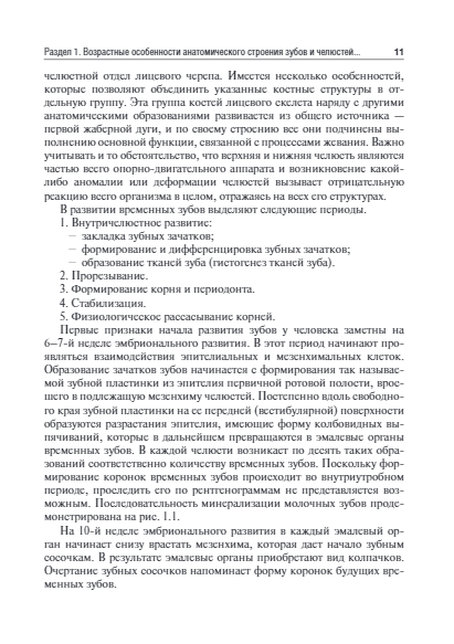 Рентгеноанатомия и рентгенодиагностика в стоматологии. Учебное пособие — изображение 6