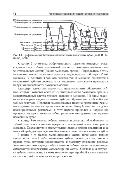 Рентгеноанатомия и рентгенодиагностика в стоматологии. Учебное пособие — изображение 5