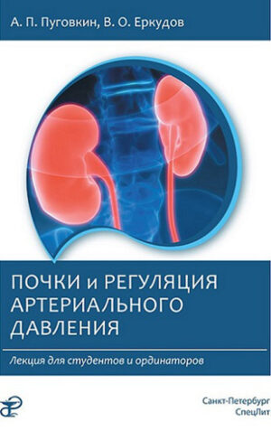 Почки и регуляция артериального давления