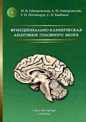 Функционально-клиническая анатомия головного мозга