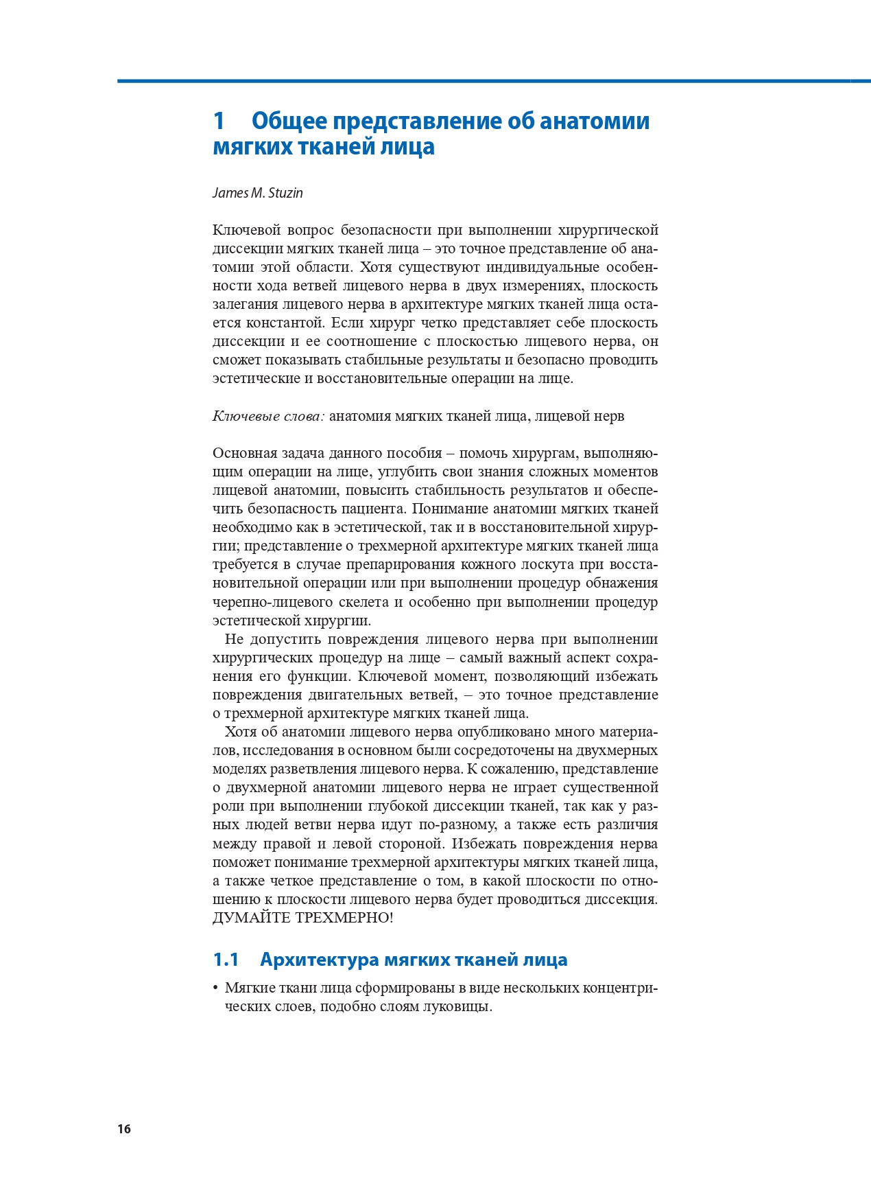 Опасные зоны лица — изображение 5