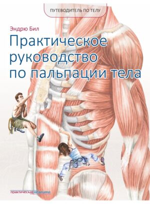 Путеводитель по телу. Практическое руководство по пальпации тела