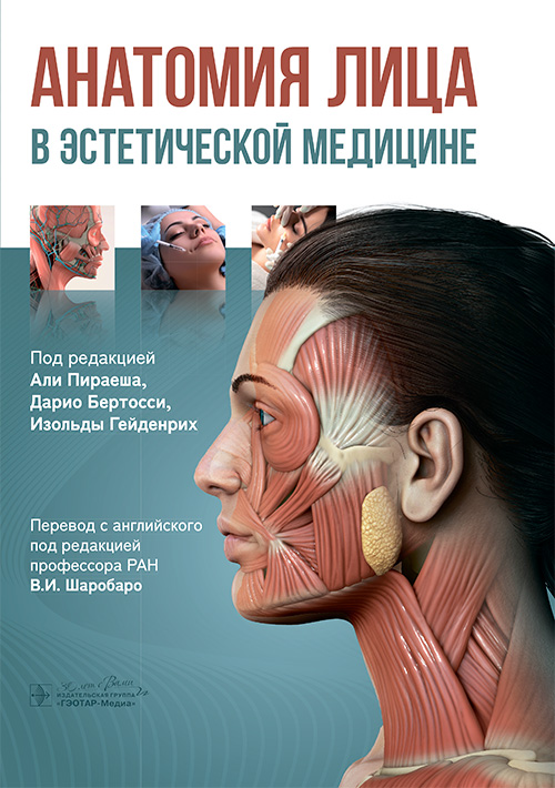 Анатомия лица в эстетической медицине