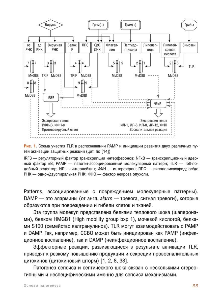 Сепсис. Учебное пособие — изображение 8