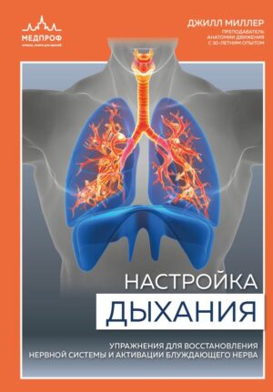 Настройка дыхания. Упражнения для восстановления нервной системы и активации блуждающего нерва
